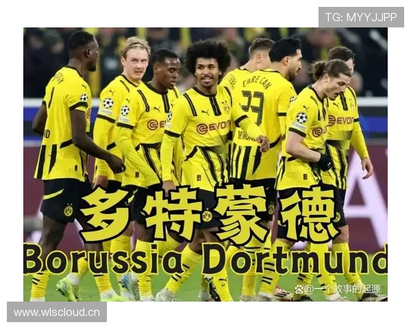 多特防线稳定性承压:制约本赛季争冠形势,已逐步反映竞争格局 多特防线稳定性承压:制约本赛季争冠形势,已逐步反映竞争格局