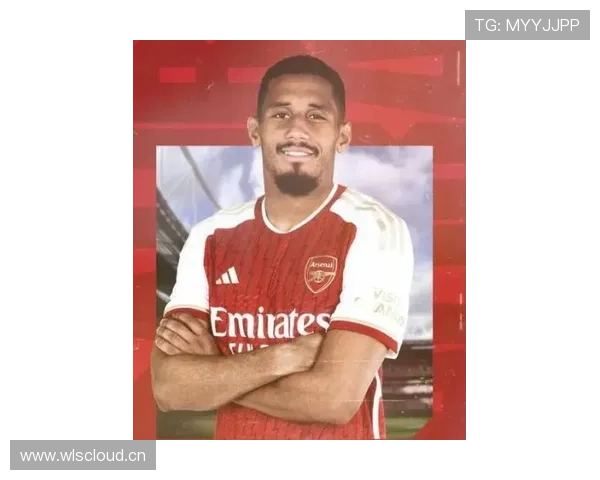 威廉·萨利巴：英超最佳阵容中卫跻身顶级行列