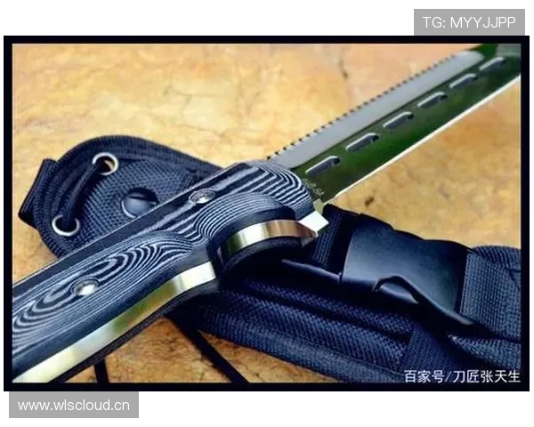 萨卡上限是否受限于终结效率与战术角色