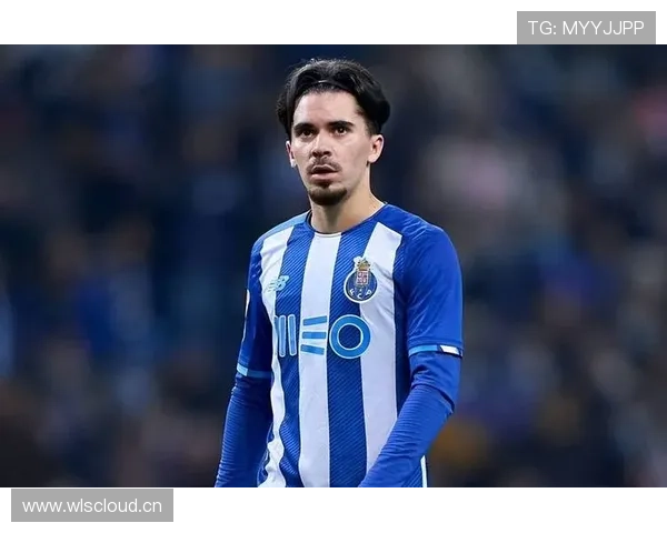 维蒂尼亚能否承担核心角色及制约因素分析 维蒂尼亚能否承担核心角色及制约因素分析