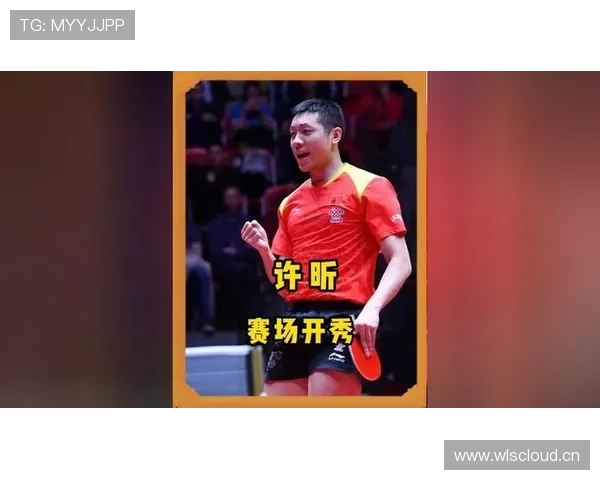 许昕家的猫都比我会花钱