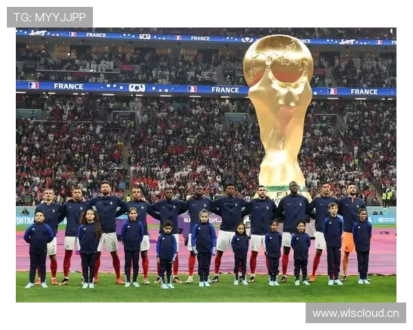 法国晋级世界杯16强：瑞典防线被全面击穿